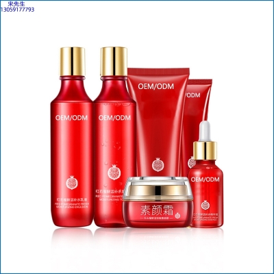 中大生化_红石榴护肤套装